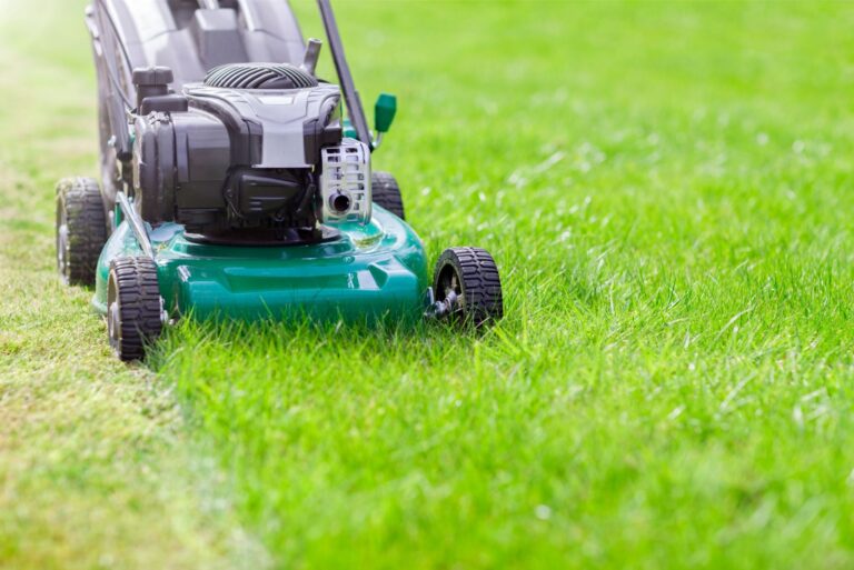 Mowing or cutting the long grass