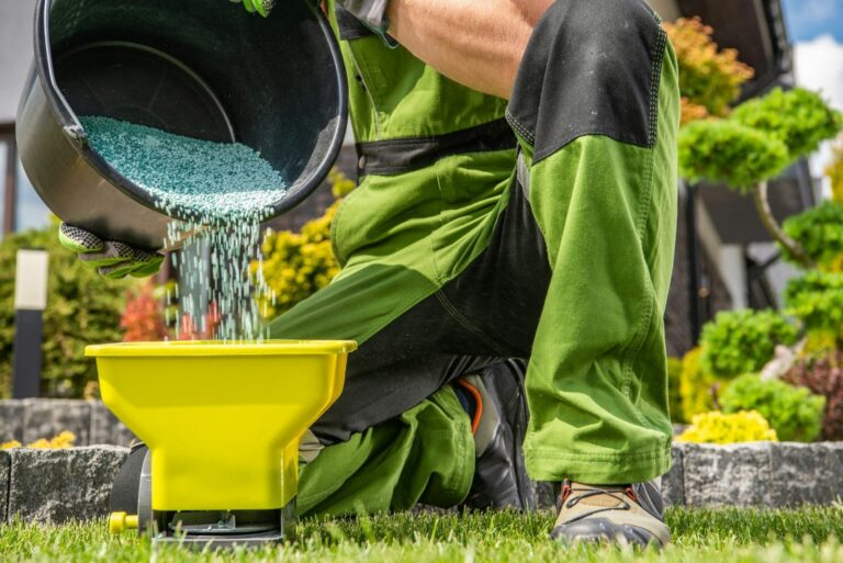 Gardener Filling His Handheld Spreader