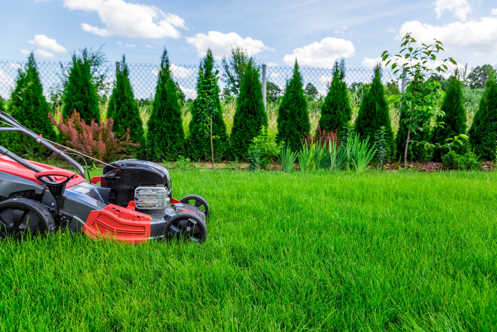 8 November Lawn Mowing Rules Every Pennsylvania Homeowner Should Follow