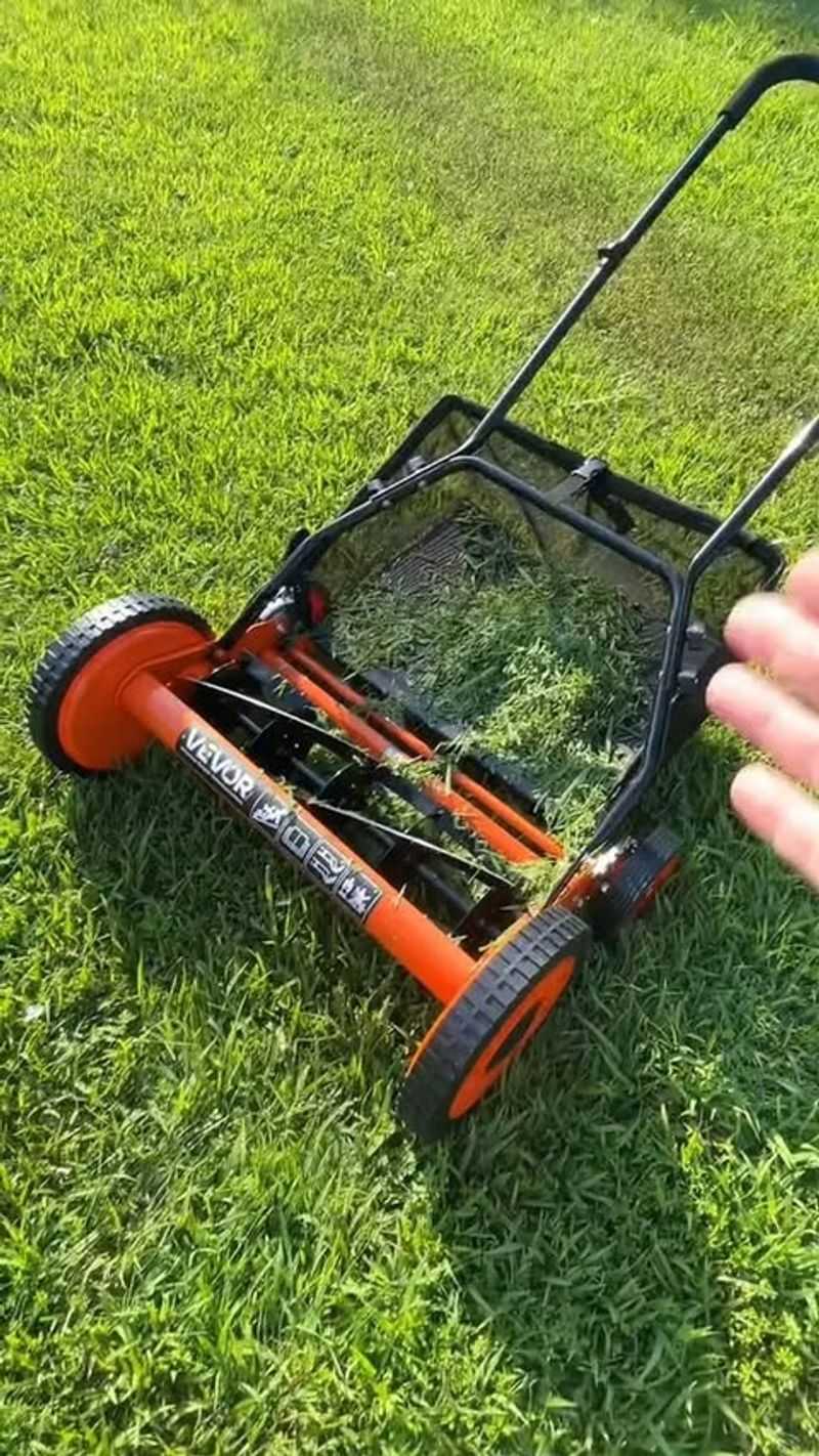 Lower Your Mower Blade Gradually