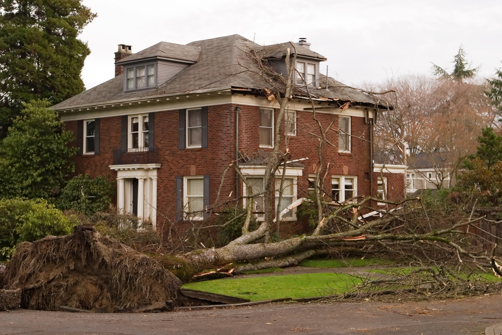 8 Places In Yard You Should Never Plant A Tree In Pennsylvania According To Experts