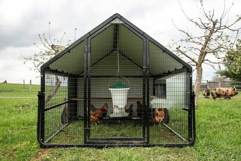 A-Frame Tractor Coop