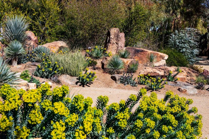 Plant Gopher-Repelling Vegetation