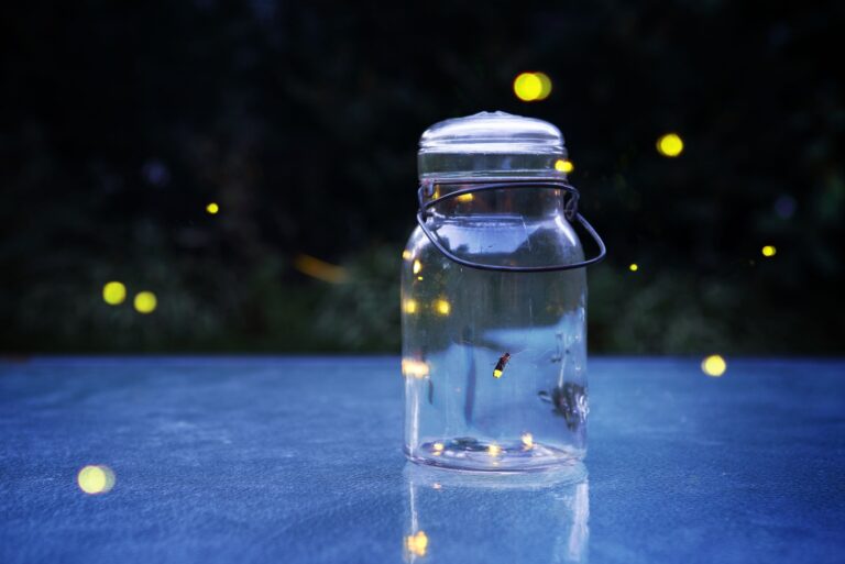 Fireflies in a jar outdoors at night