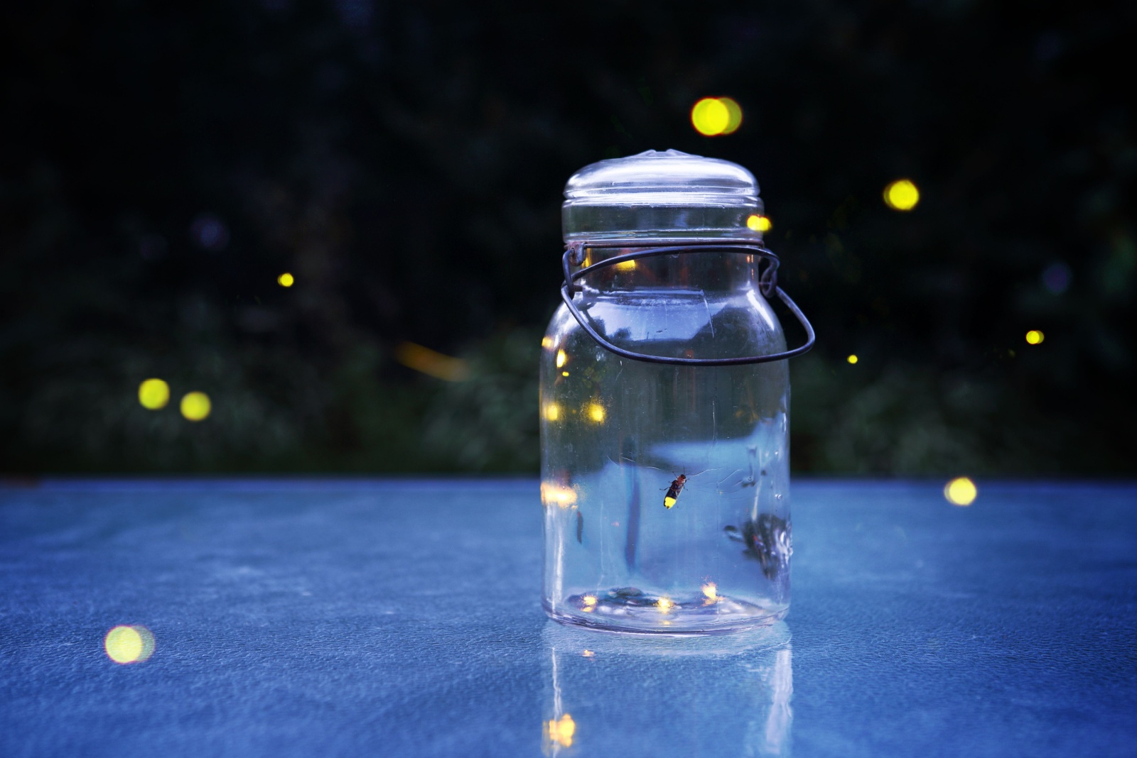 8 Reasons Fireflies Are Slowly Disappearing In Michigan Gardens