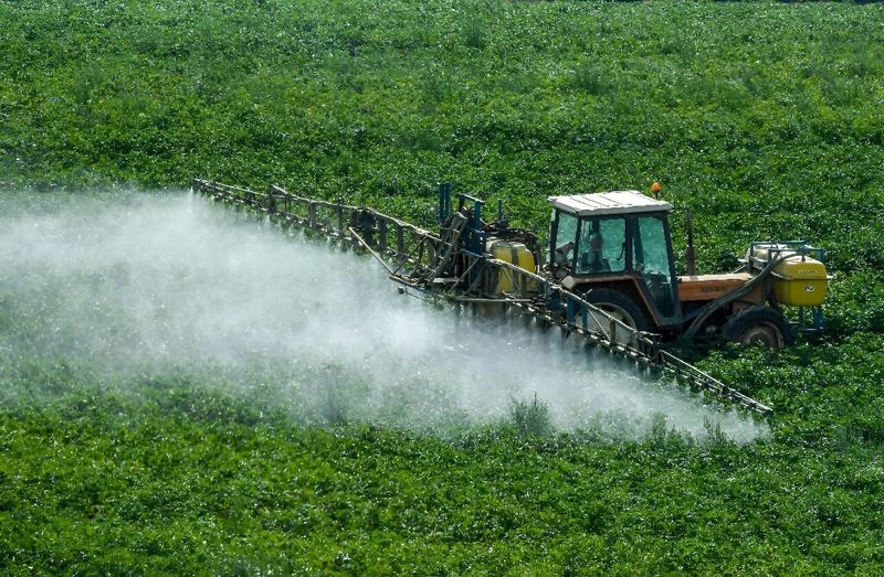 Pesticide Overuse Harms Colonies