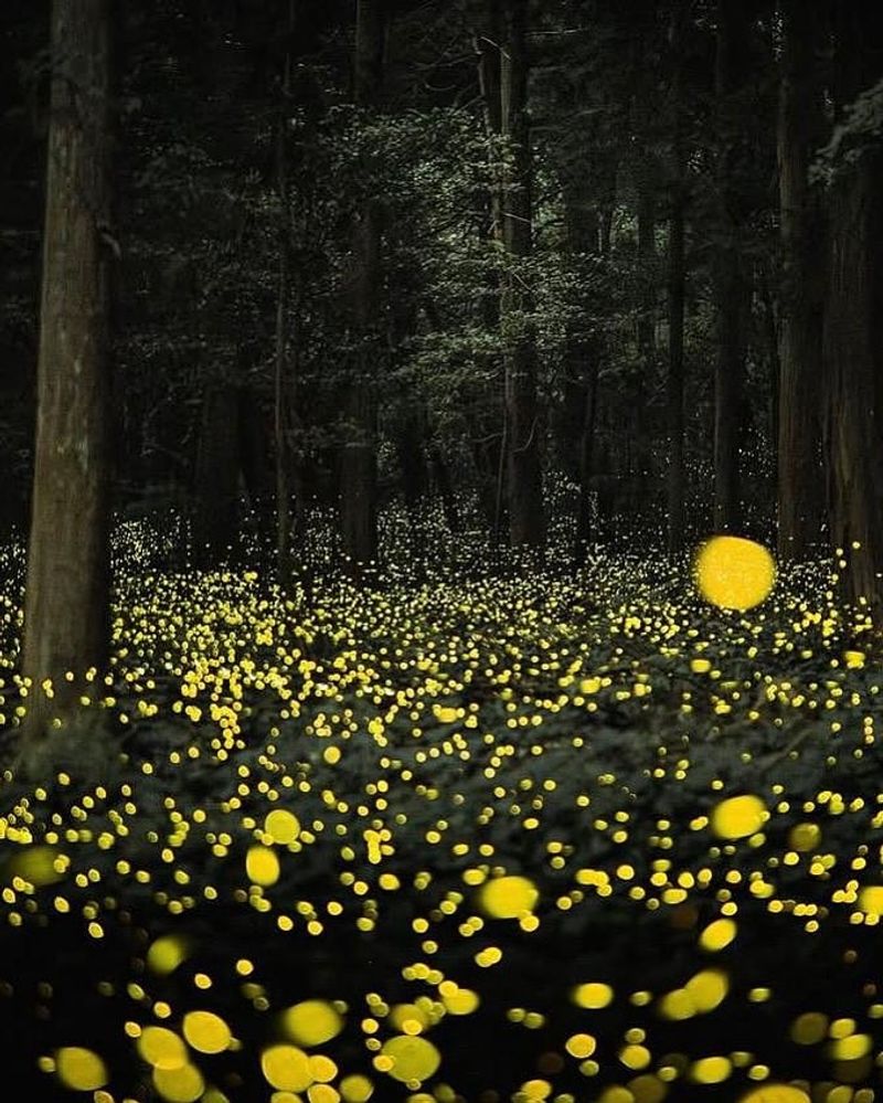 Light Pollution