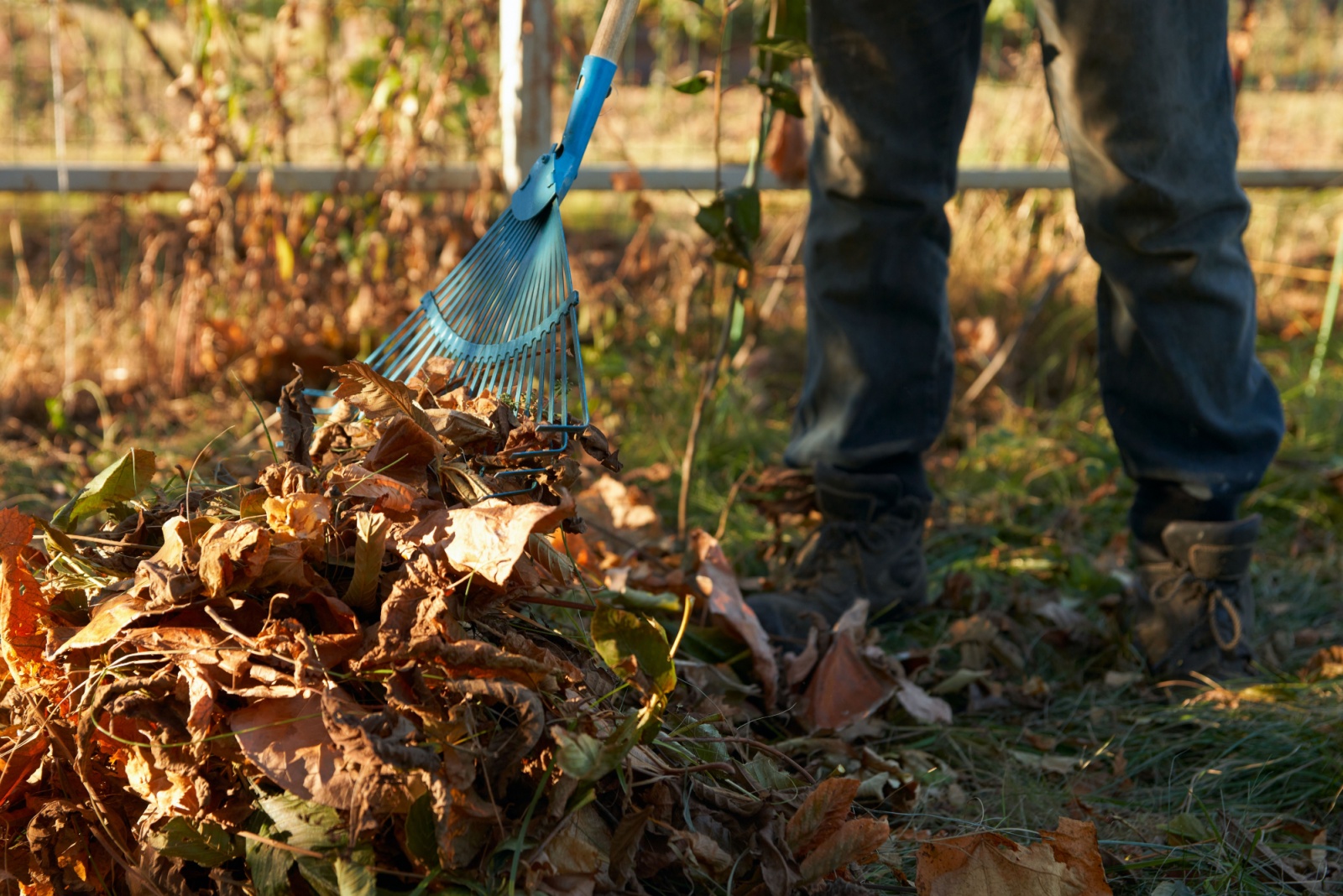 8 Signs It’s Time To Clear The Leaves From Your Wisconsin Yard