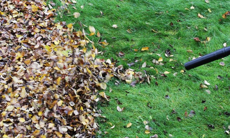 Your Grass Is Starting To Look Yellow