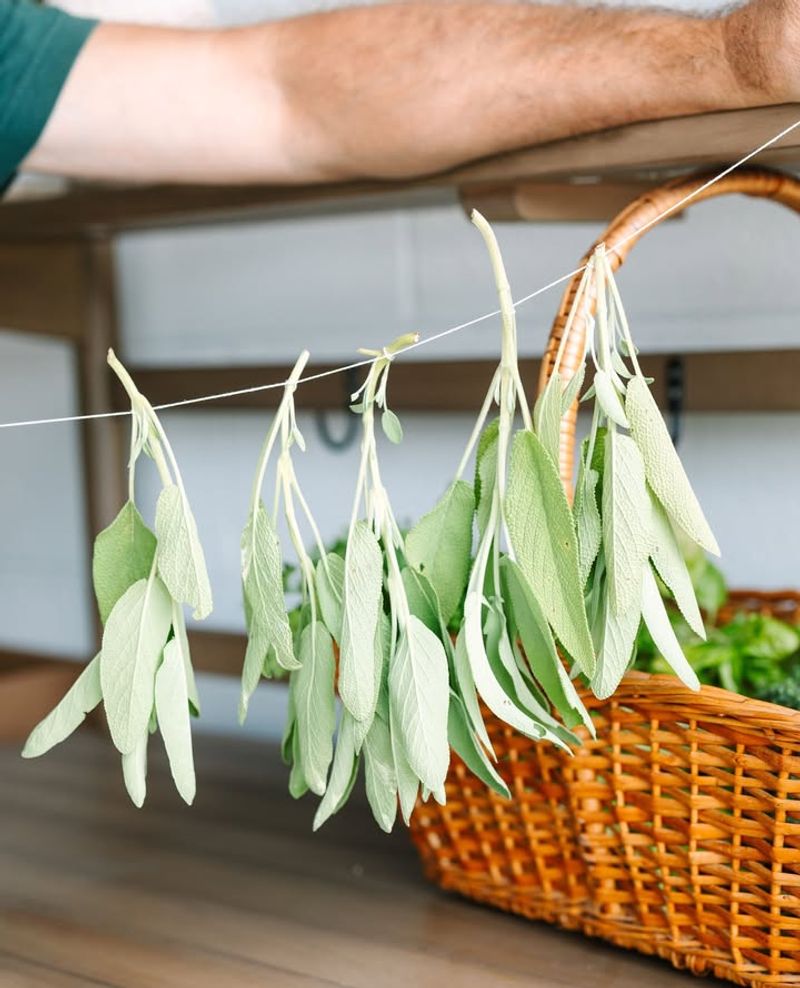 1. Air Drying Herbs And Flowers