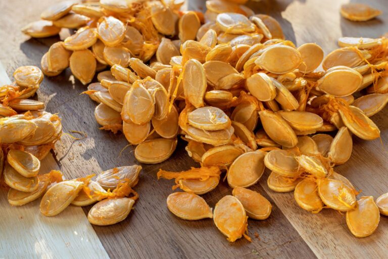 Pumpkin seeds extracted from pumpkin