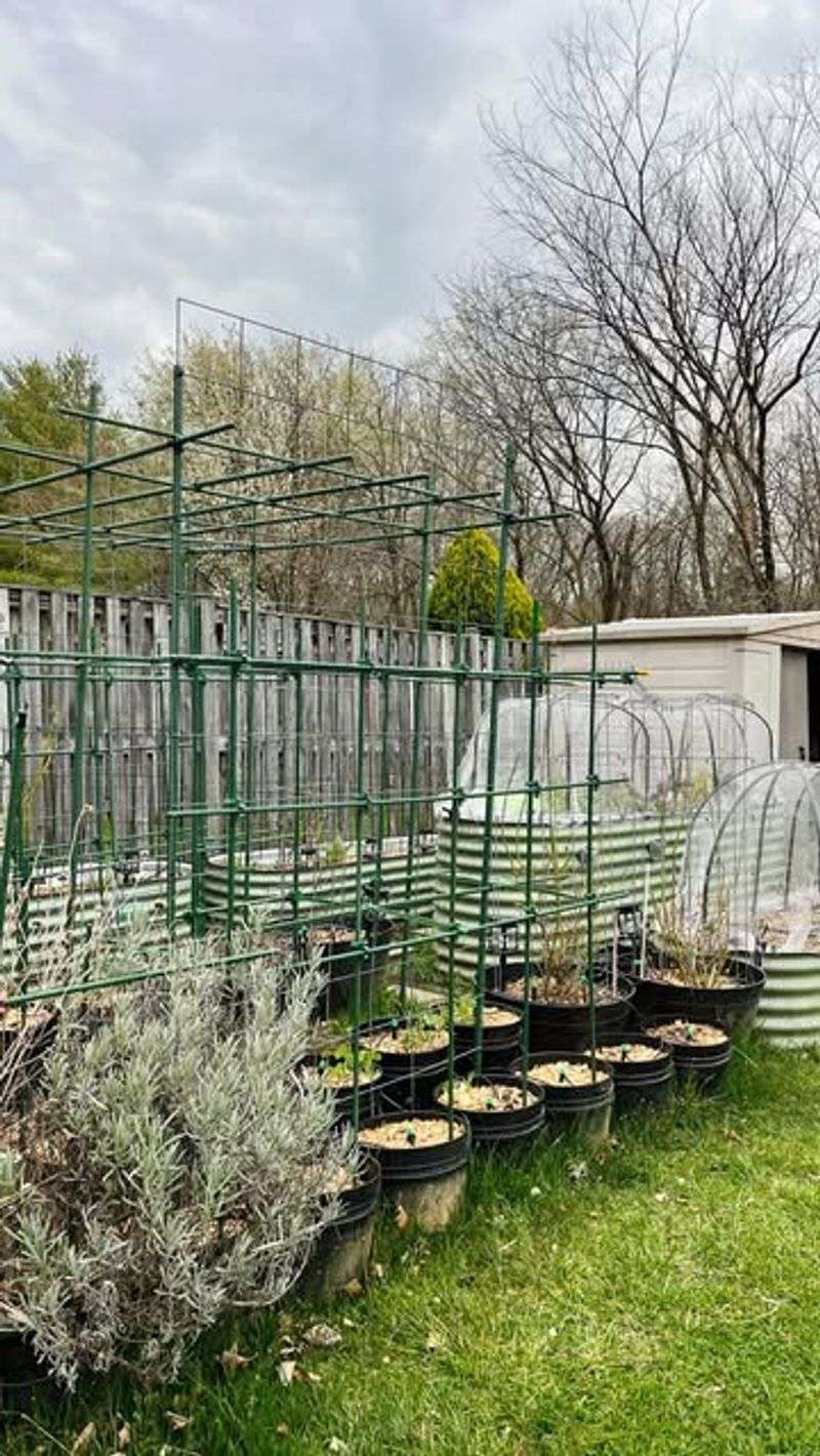 Low-Lying Areas That Collect Cold Air