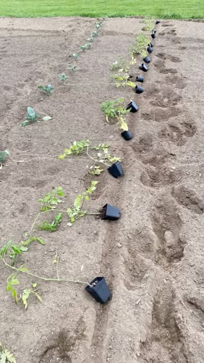 Low-Lying Areas That Collect Water