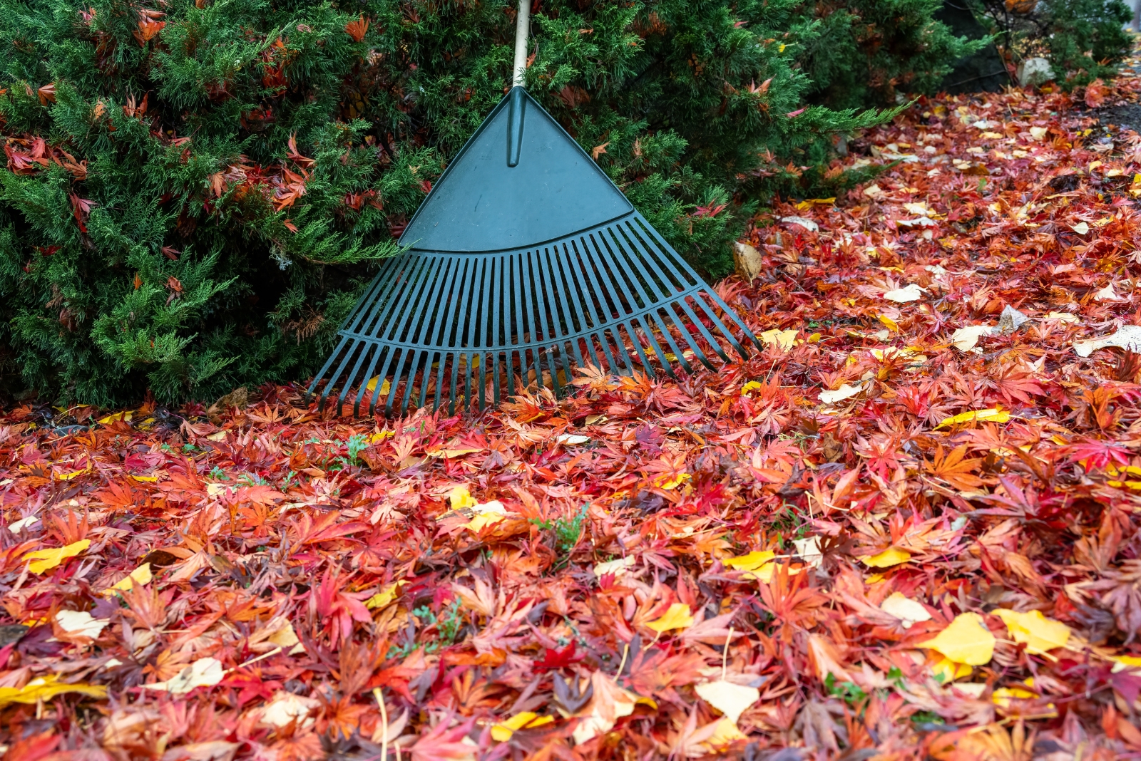 8 Things Homeowners Skip In Fall Cleanup And Regret All Winter In Oregon