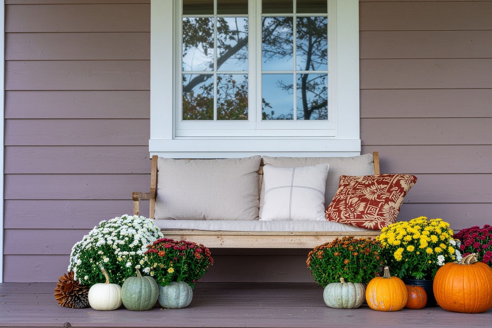 8 Things Maryland Gardeners Should Always Do After Buying Fall Porch Mums