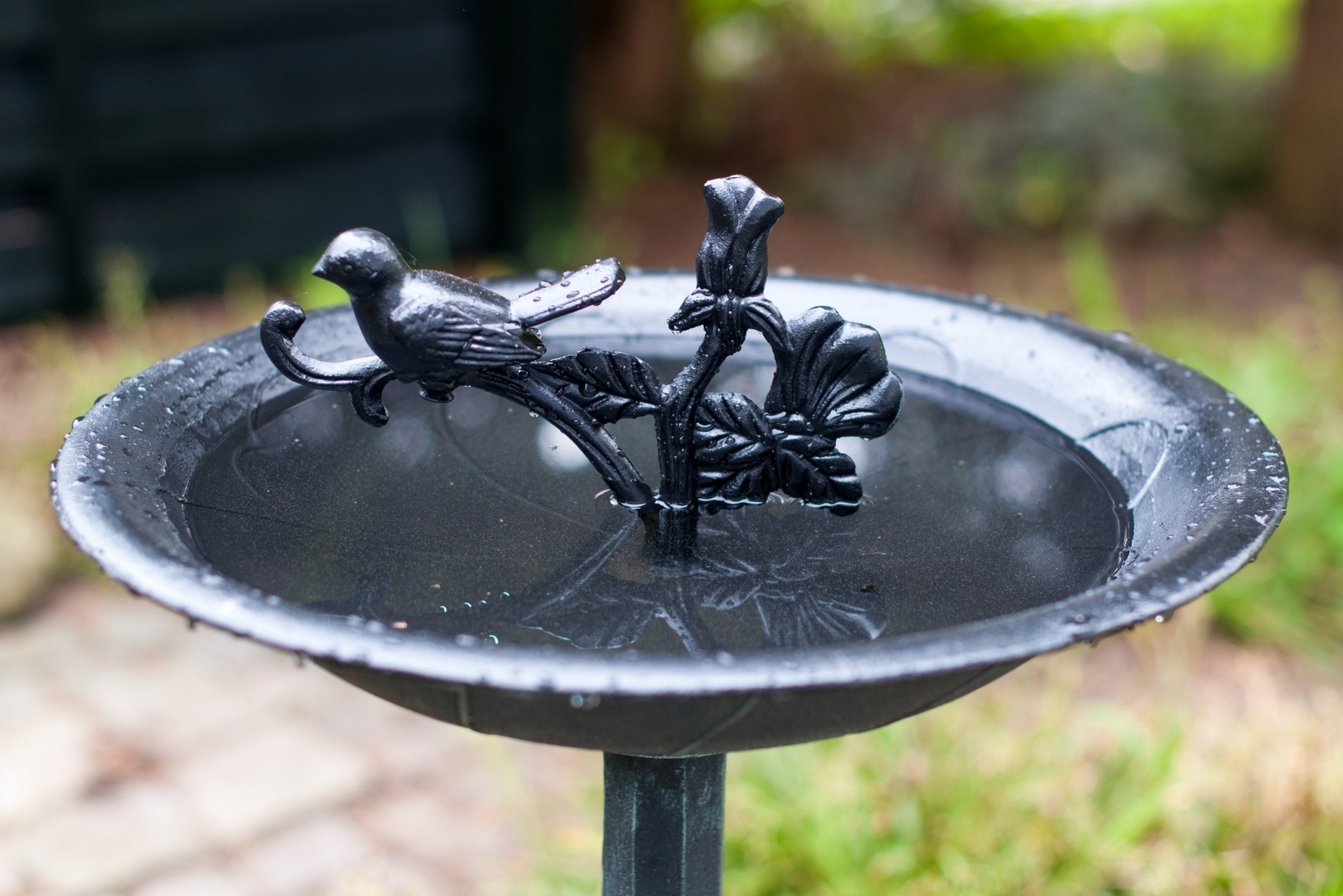 8 Things To Consider When Buying A Birdbath In New York