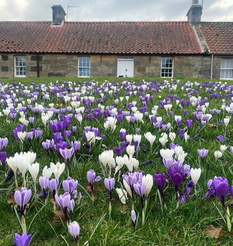Pick the Perfect Planting Time