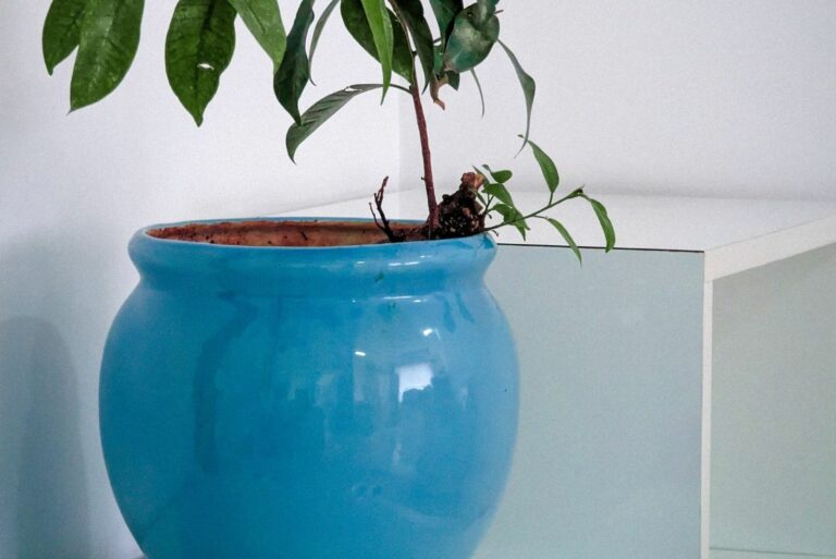 Plant in a Blue Vase