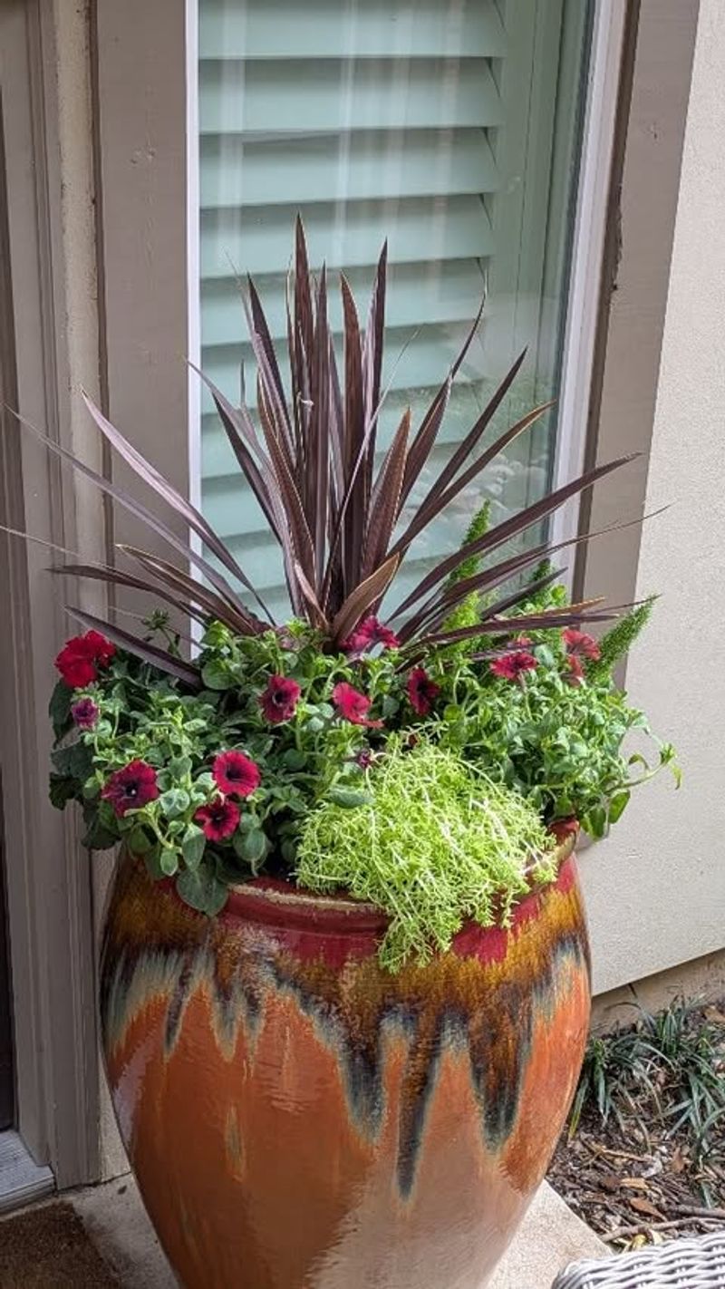 Clay Pots for Classic Breathability
