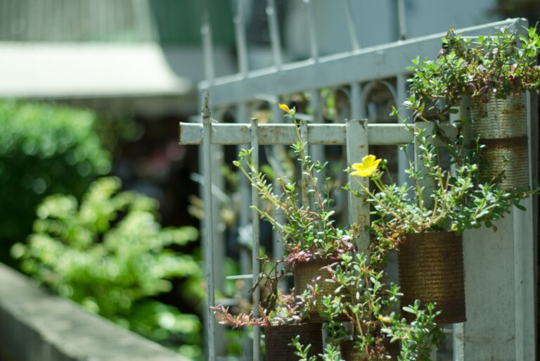 Green fence with small plant in old can