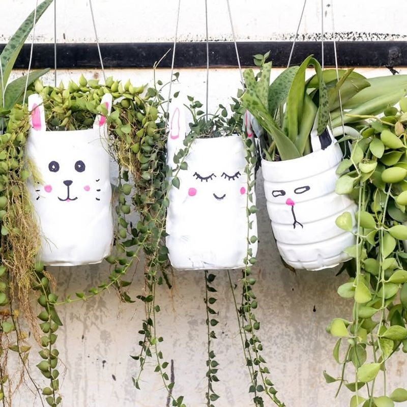 Plastic Milk Jugs As Self-Watering Planters