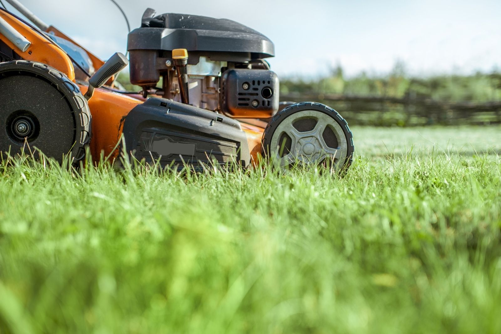 9 Common Lawn Mistakes Ruining Maine Yards Every Fall