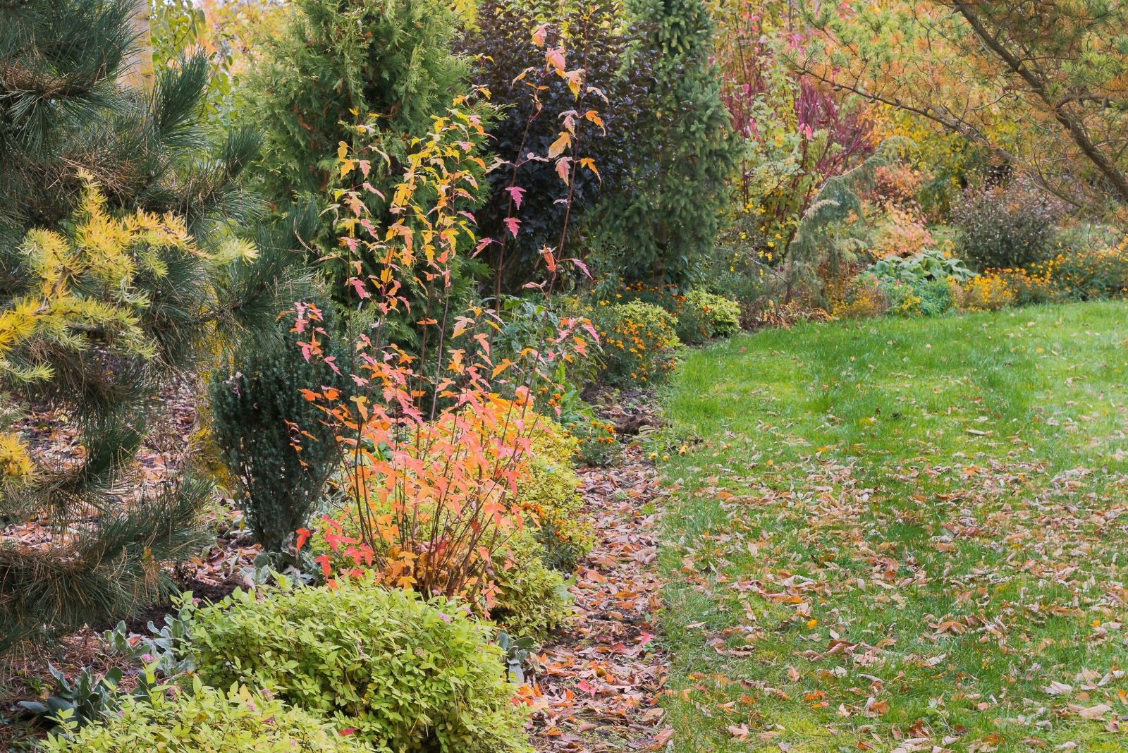 9 Common Lawn Mistakes Ruining New Hampshire Yards In Fall