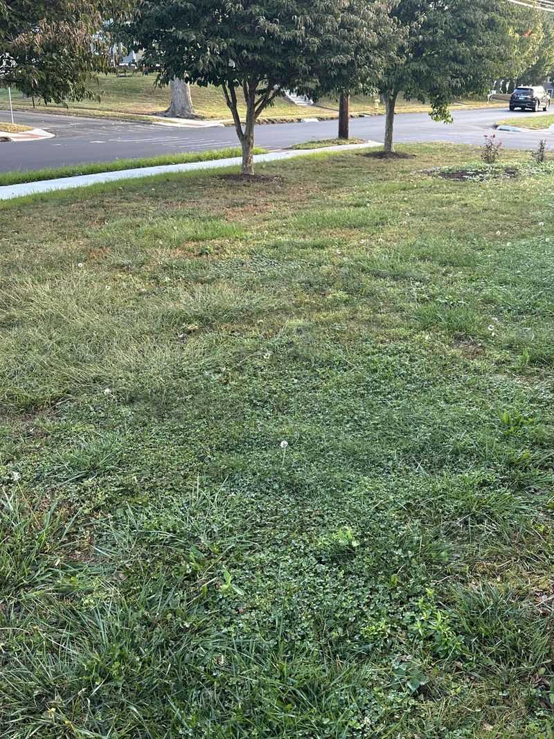 Skipping the Final Mow