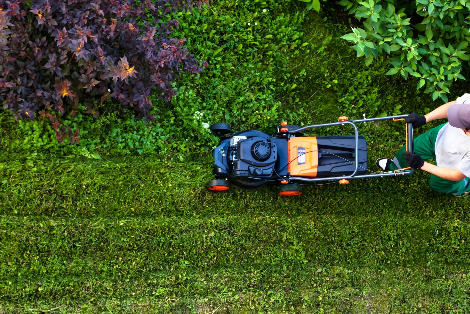 9 Common Lawn Mistakes Wrecking Nebraska Yards Every Fall