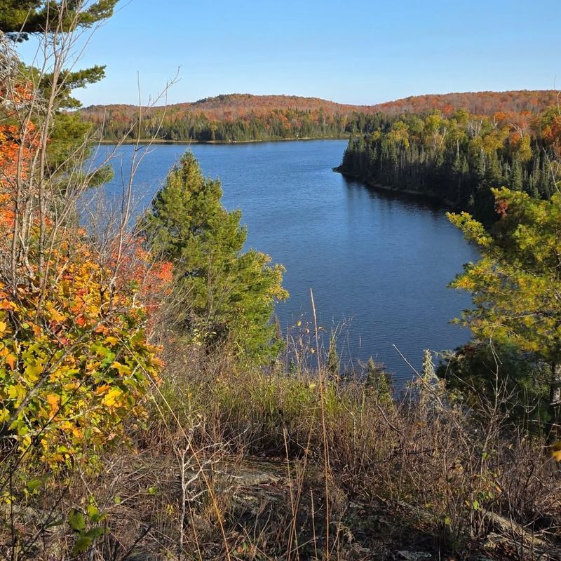 Golden Leaves Along Lake Superior's Edge