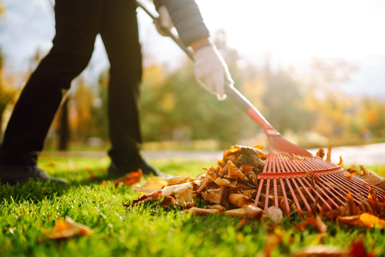 9 Easy Steps To Revive Your Lawn In Ohio This Fall