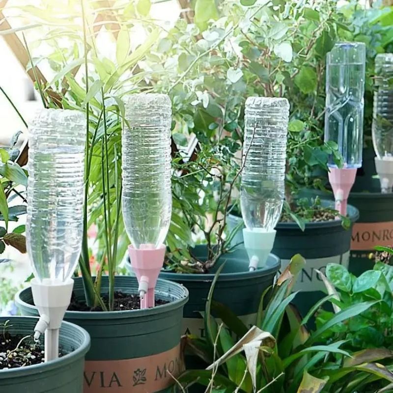 Set Up A Self-Watering System With Recycled Bottles
