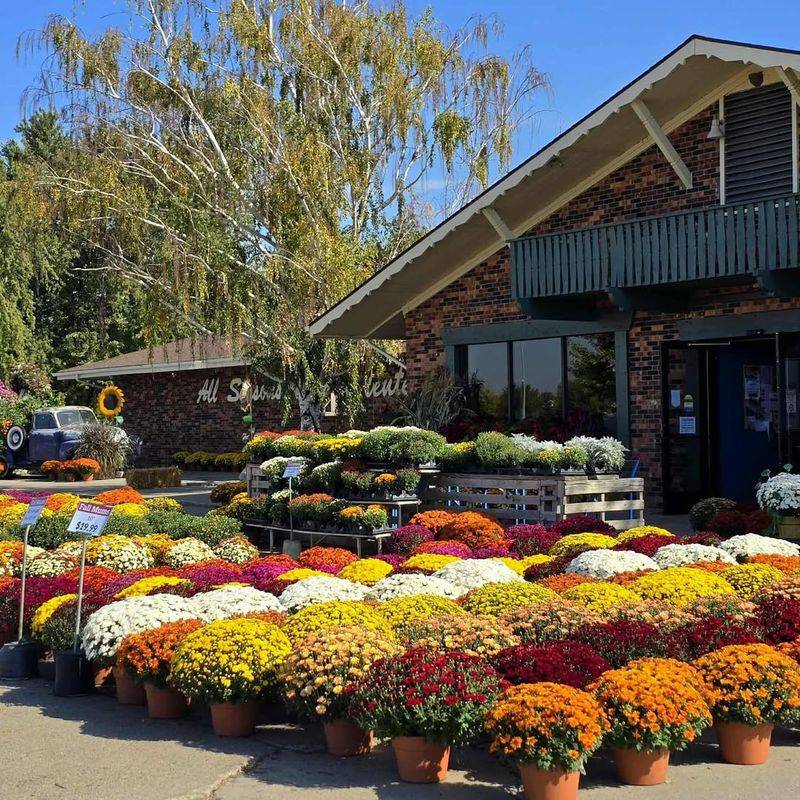 Buying Too Early In The Season