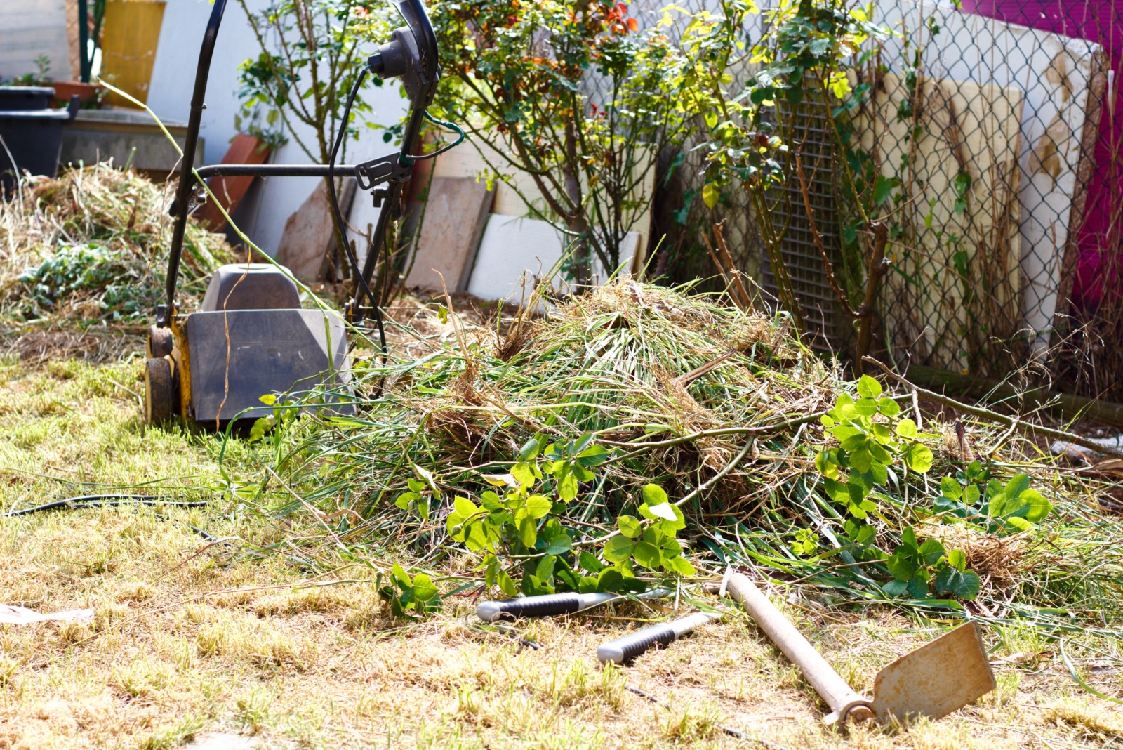 yard cleaning