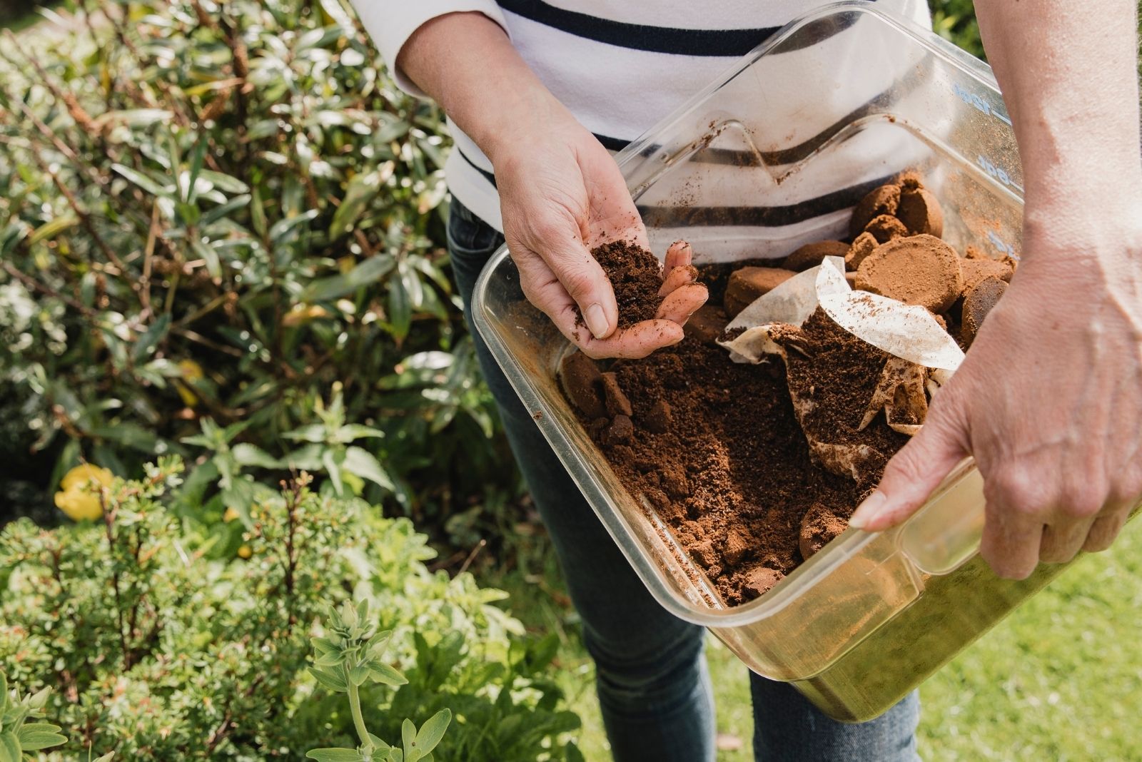 Using Coffee as Compost