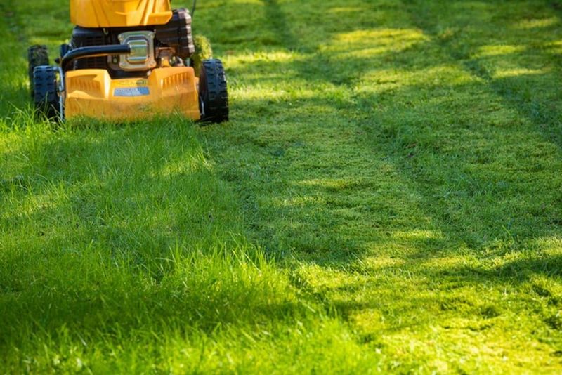 Cutting Grass Too Short Before Winter