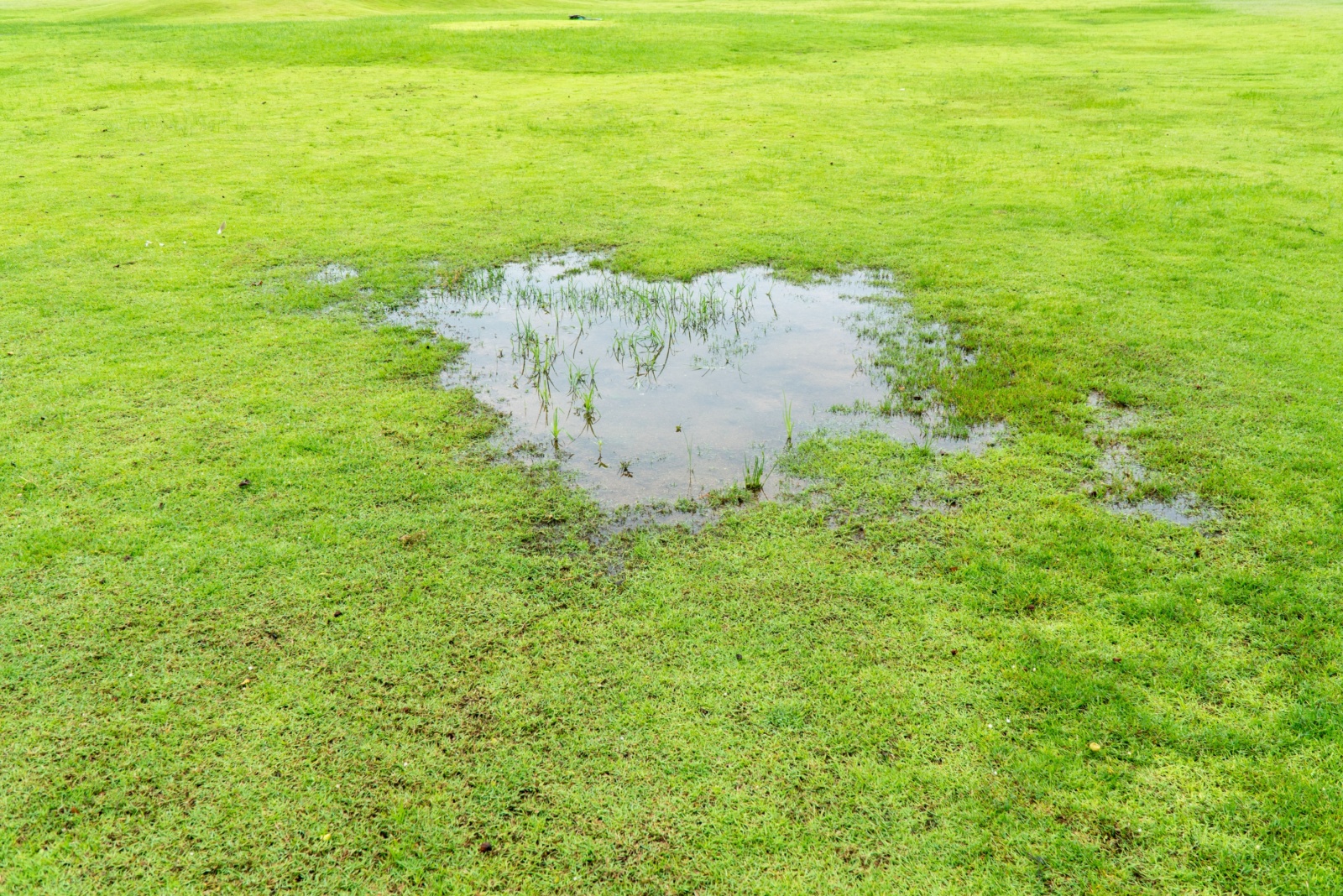 9 Lawn Mistakes That Ruin Mississippi Yards Every Fall
