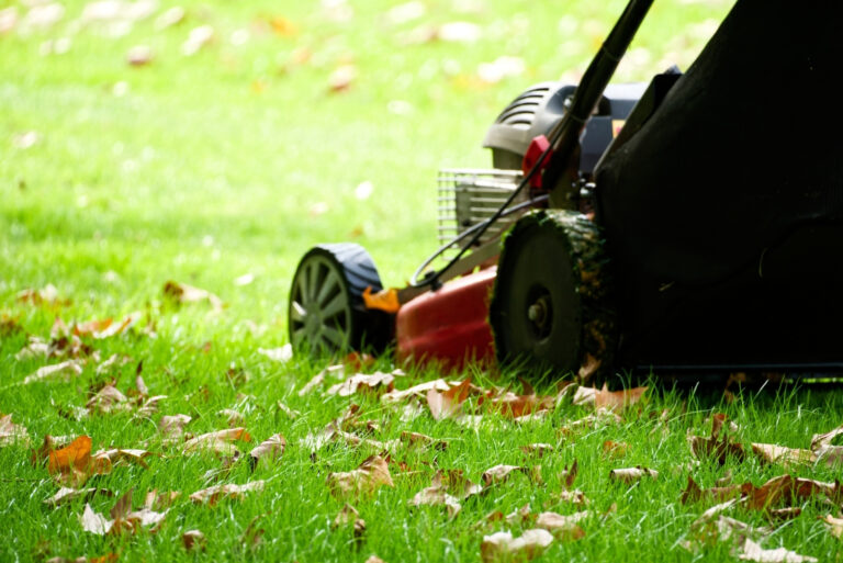 lawn mowing (featured image)