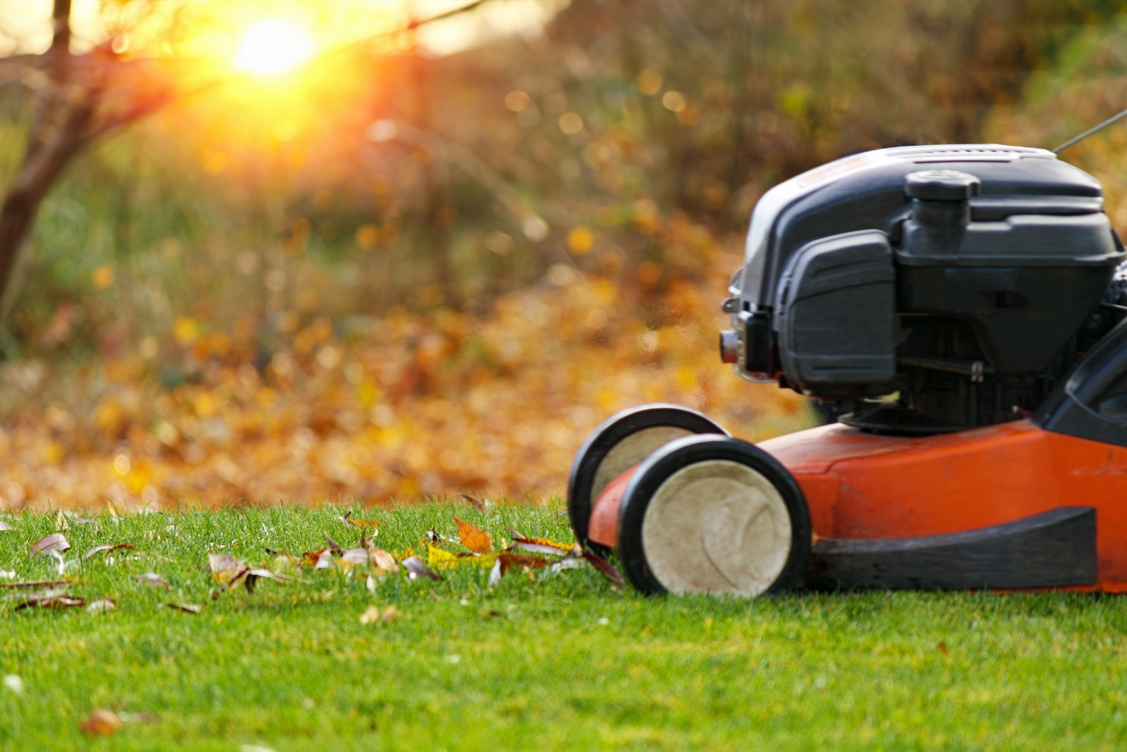 9 October Lawn Mowing Tips Every Michigan Homeowner Needs