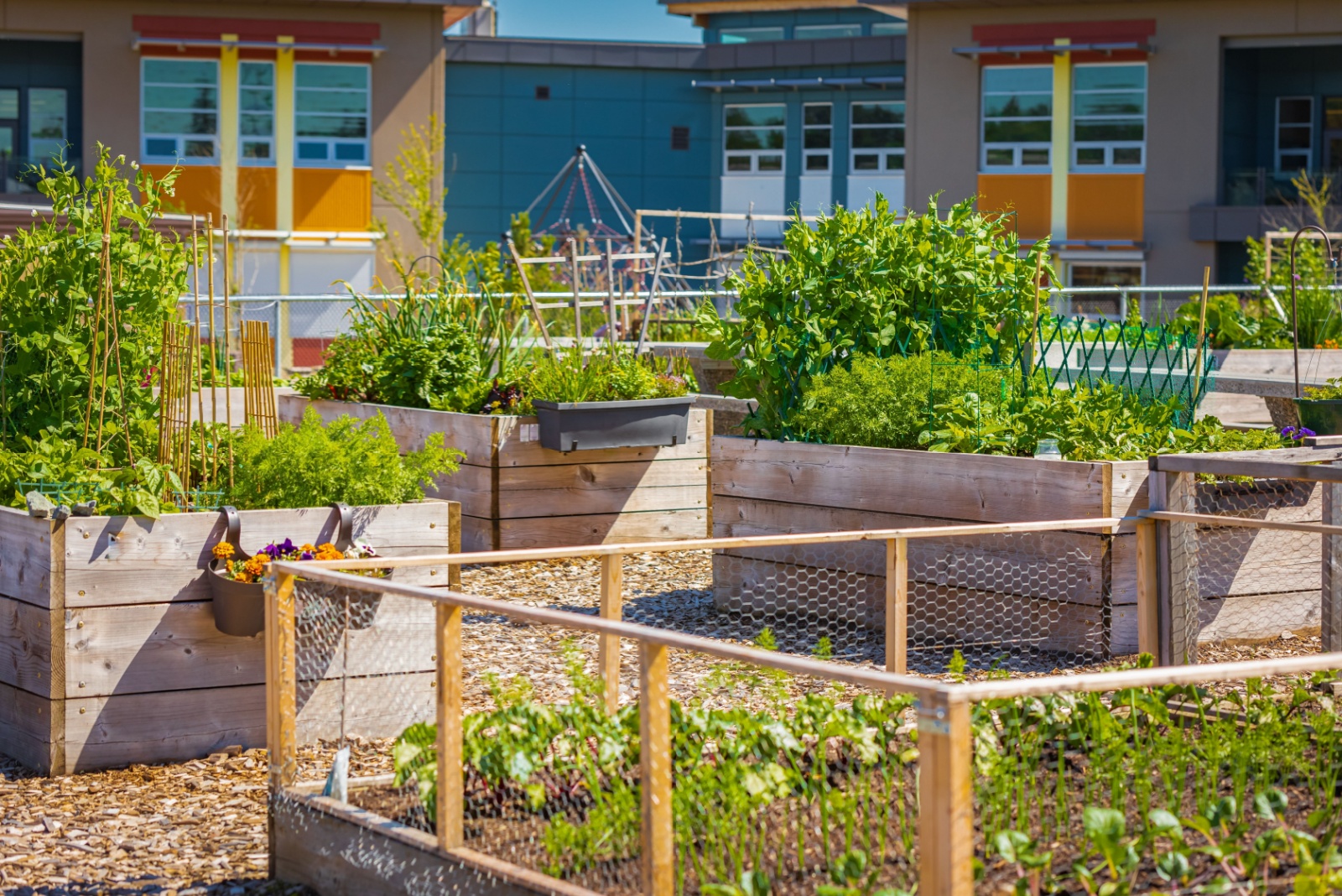 9 Raised Beds That Hold Up To Texas Weather Year After Year