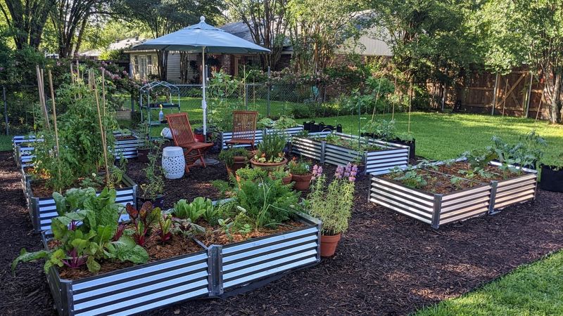 Galvanized Steel Raised Beds