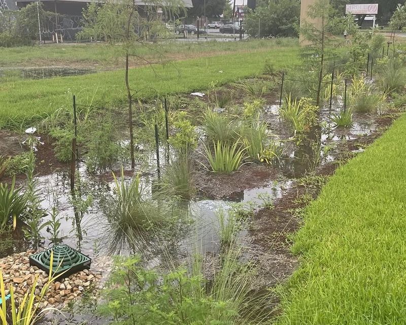 Low-Lying Areas Prone To Flooding