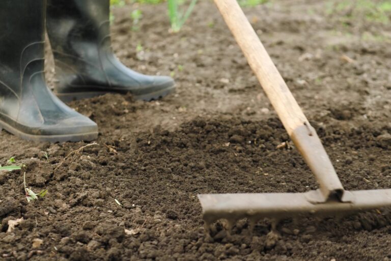 soil preparation farming, garden rake tilling, soil quality improvement