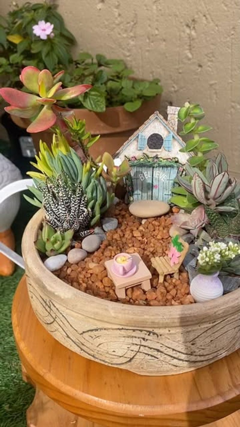 Succulent Mini-Garden