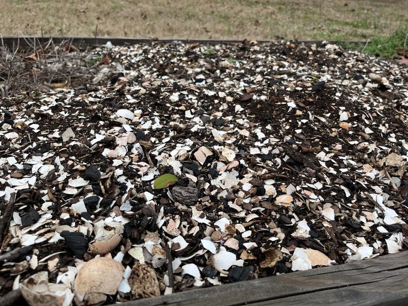 Add Crushed Eggshells to Your Garden Beds