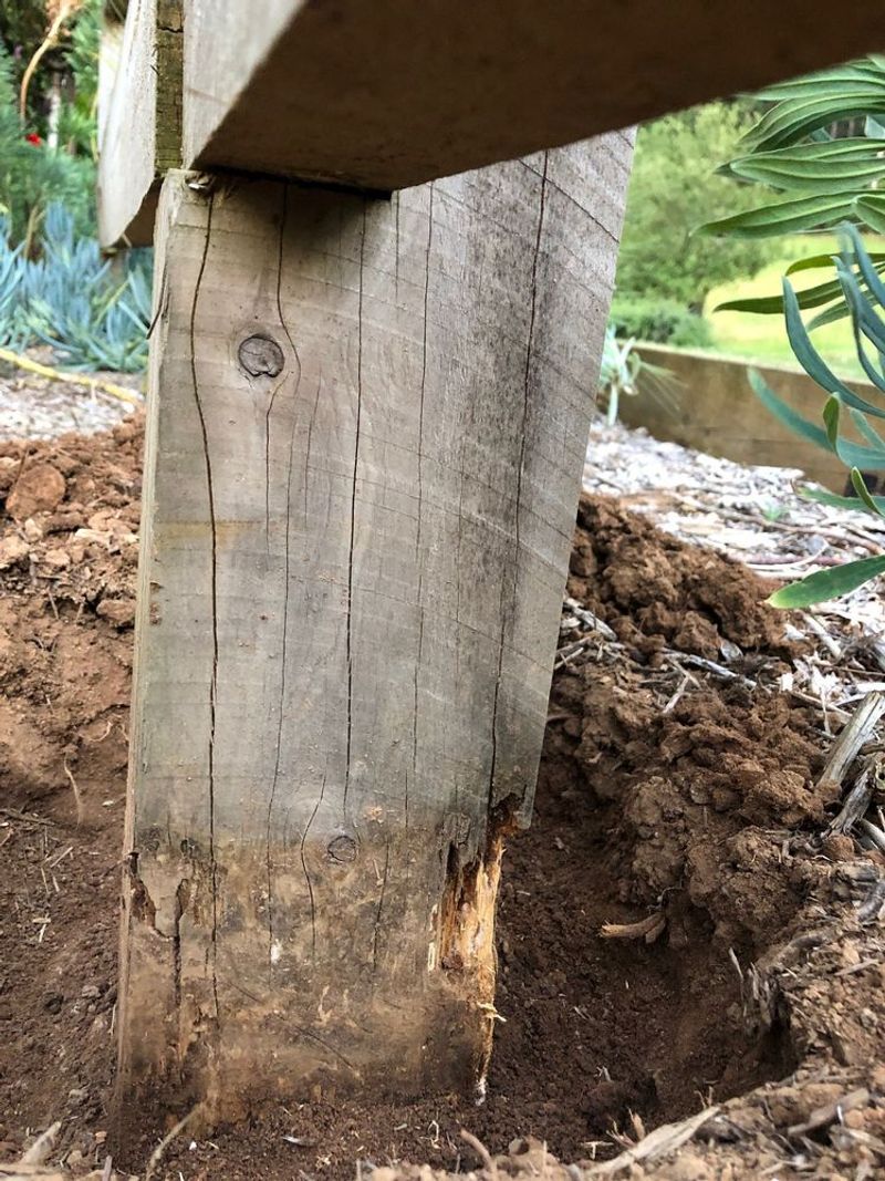 Deteriorating Wooden Fences