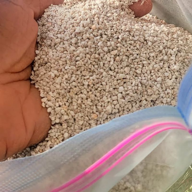 Include Perlite Or Vermiculite For Aeration