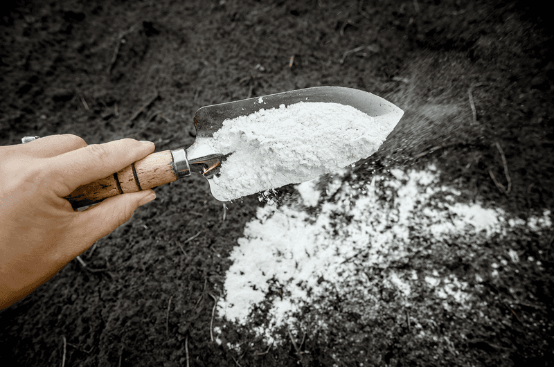 Apply Agricultural Lime for Quick Results