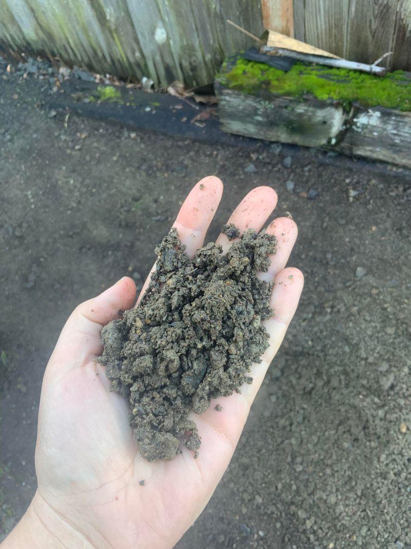 Mix in Coarse Sand for Better Drainage