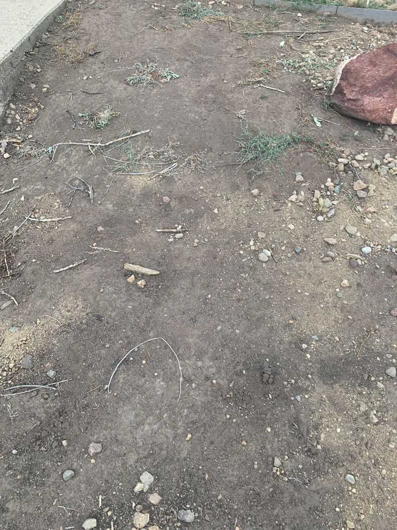 Turn And Loosen Compacted Earth